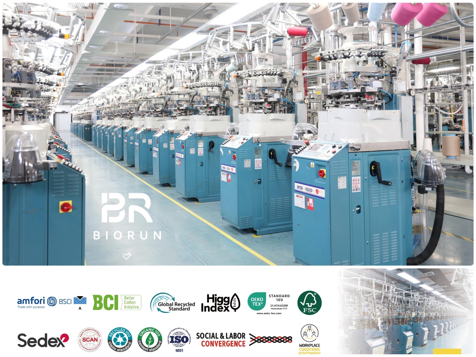 1733210909288398.jpg Lonati.jpg