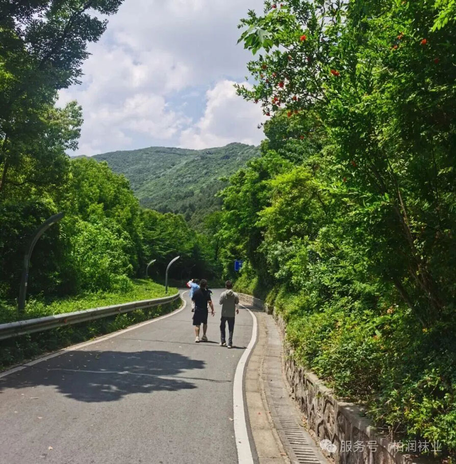 登山大道
